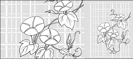 Vector line drawing of flowers-26(Morning glory, lattice background) 