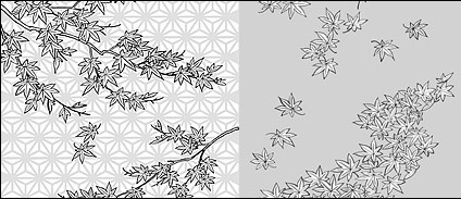 Vector line drawing of flowers-34(Maple Leaf) 