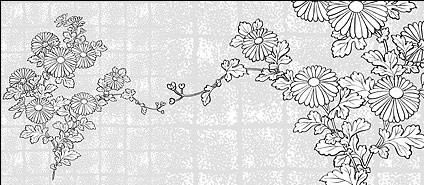 Vector line drawing of flowers-37(Chrysanthemum, background)