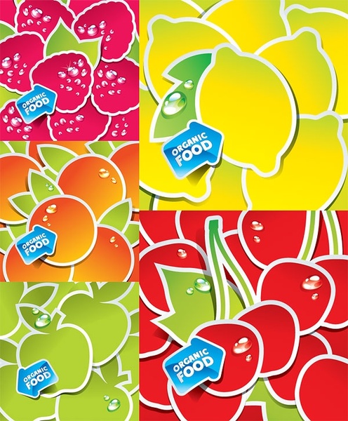 vector lovely fruit stickers