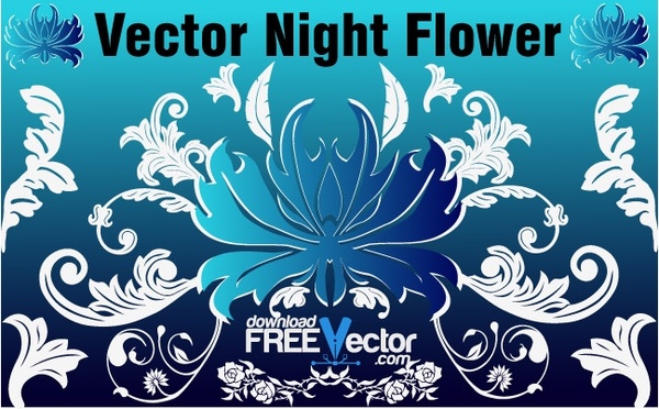 Vector Night Flower