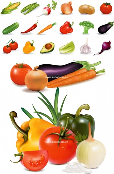 vector of common vegetables