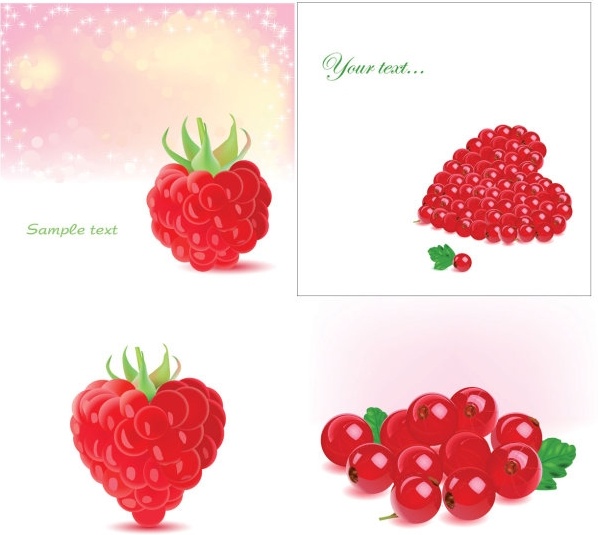 vector romantic berries