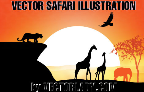 vector safari illustration