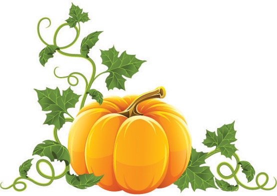 vector set of halloween pumpkin design