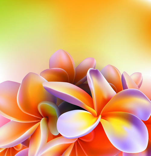 vector set of spring flowers design graphics