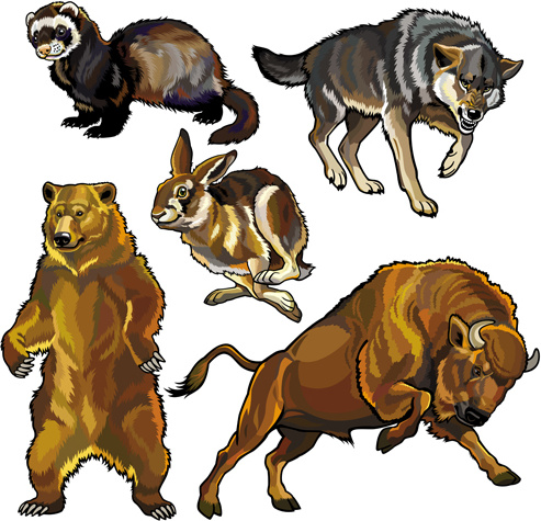 vector set of wild animals design graphic 