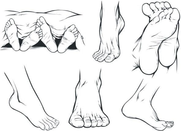 How to Draw Feet  SketchBookNationcom