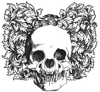 Vector skull 