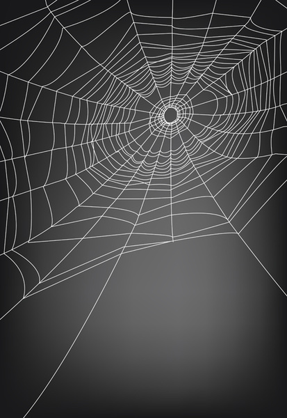 vector spider web design background graphics 