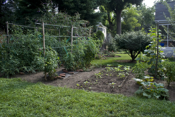 vegetable garden july 26