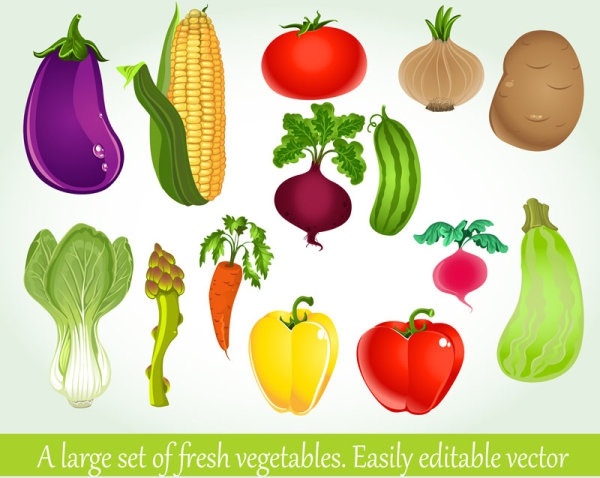 vegetables background 04 vector