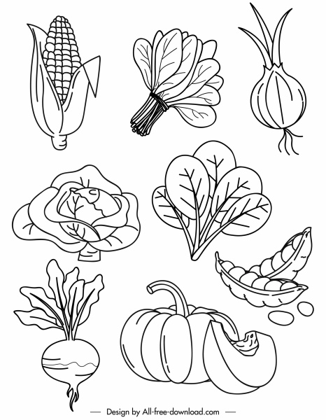 vegetables icons black white handdrawn sketch