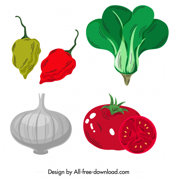 vegetables icons chilli chok choy onion tomato sketch