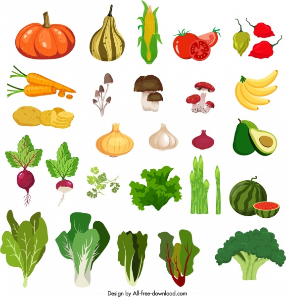 vegetables icons colorful classical design