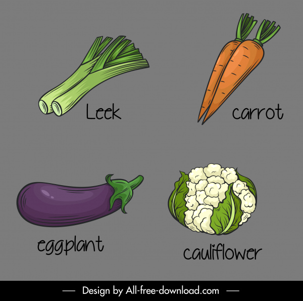 vegetables icons handdrawn leek carrot eggplant cauliflower sketch