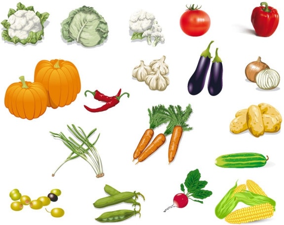 vegetables image 02 vector
