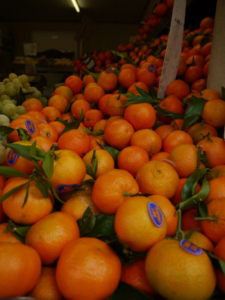 venetian oranges 
