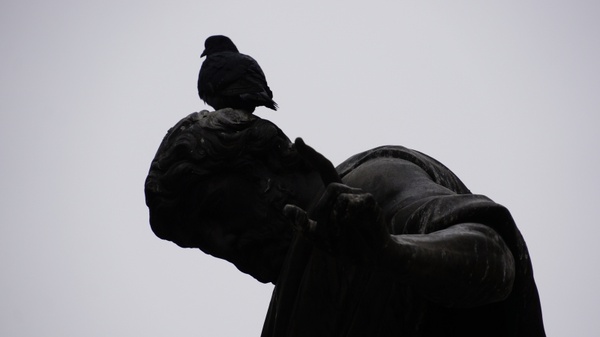vienna bird statue
