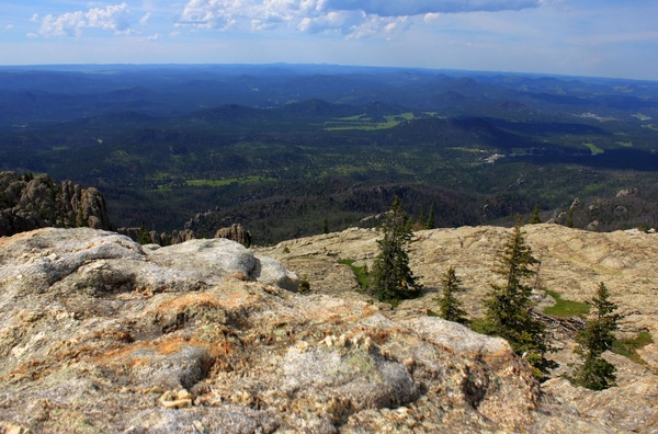 view from the top in custer state park south dakota