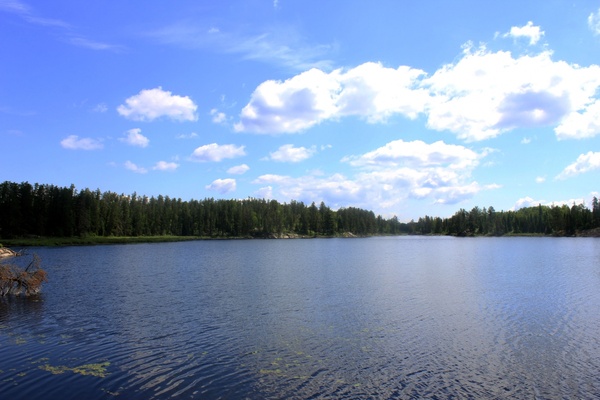 view of interior lake at voyaguers national park minnesota
