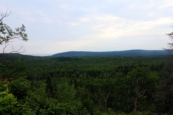 view of superior national forest minnesota