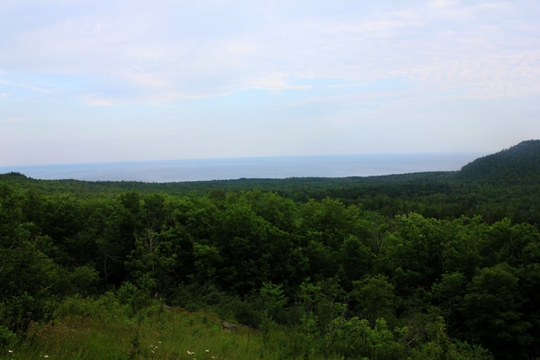 view of the forest and lake superior in superior national forest minnesota
