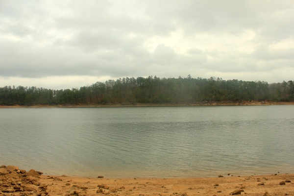 view of the opposite shore and lake allantoona landscape at redtop mountain state park georgia 