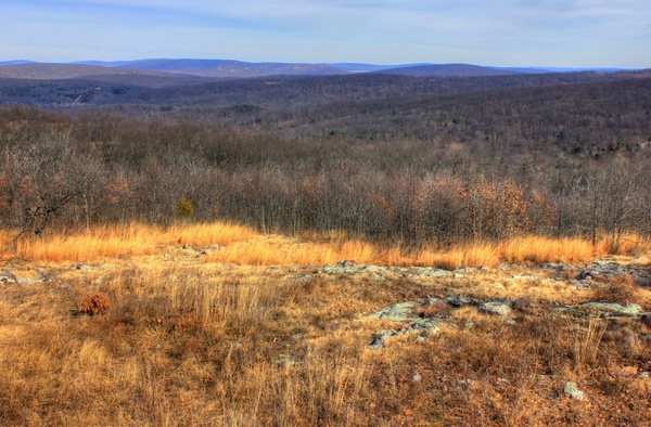 viewing the ozarks 