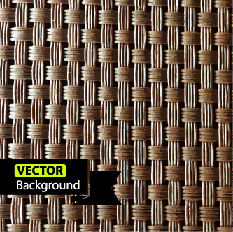 vine braid background vector