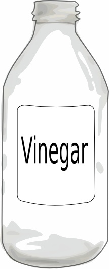 Vinegarbottle clip art 