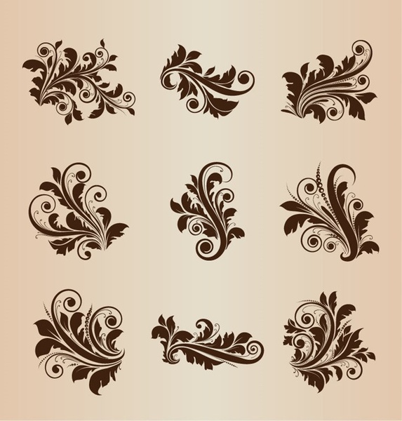 vintage design floral elements vector set