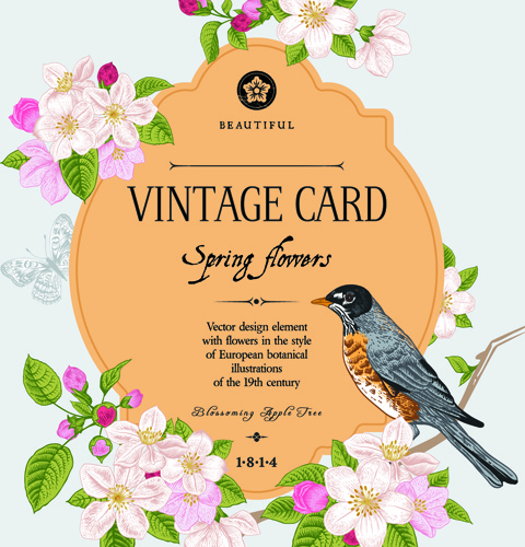 vintage flower and bird card vector graphics