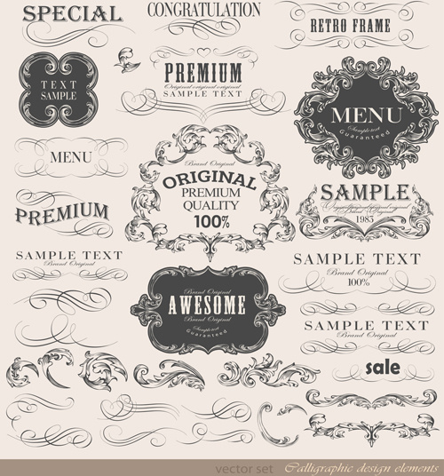 vintage frame ornaments and calligraphic vector set