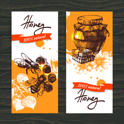 vintage honey banner design vector