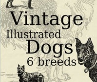 Vintage Illust. Dogs Brushpack