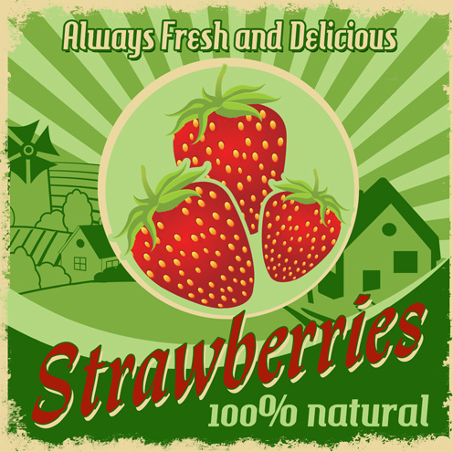 vintage styles strawberries poster vector