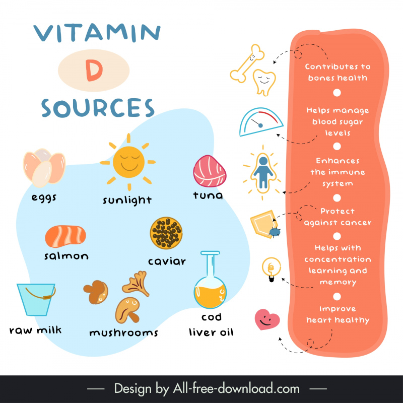 vitamin d sources infographic template flat classic handdrawn symbols 