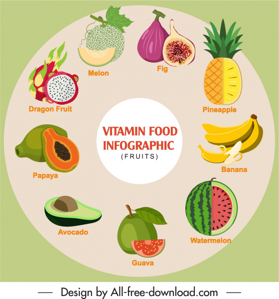 vitamin food infographic banner colorful emblems circle layout