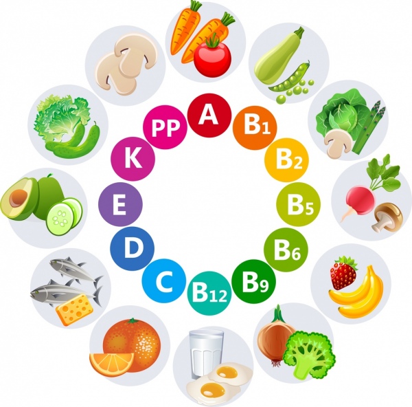 vitamins advertisement multicolored vegetable words icons circle design