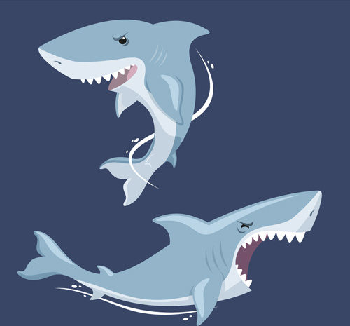 vivid shark design vectors set