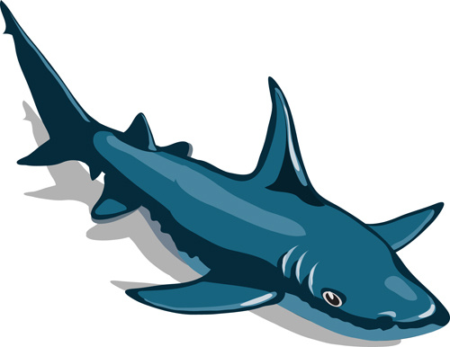 vivid shark design vectors set