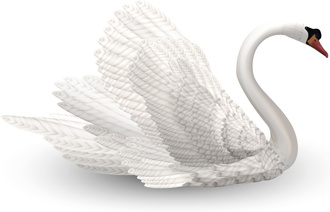 vivid swans elements vector
