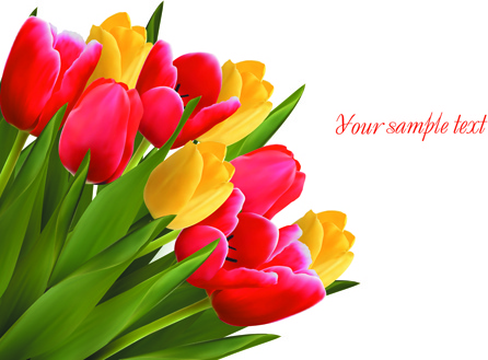 vivid tulips backgrounds vector
