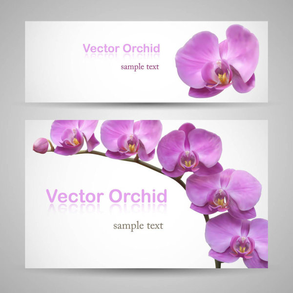 vivid with flower banner design vector