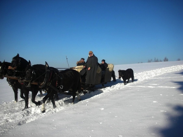 vogtland landscape winter