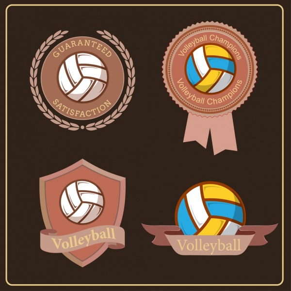 volleyball logotypes brown decor classical design