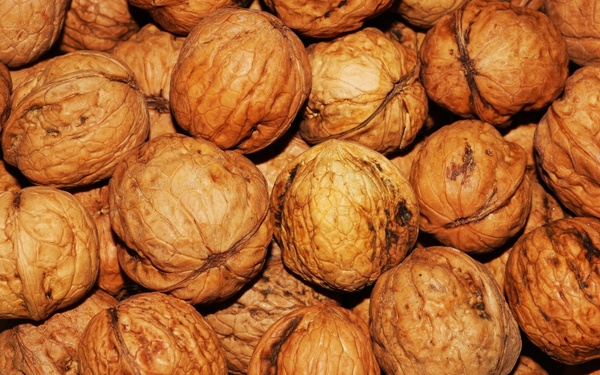 walnut food before eat