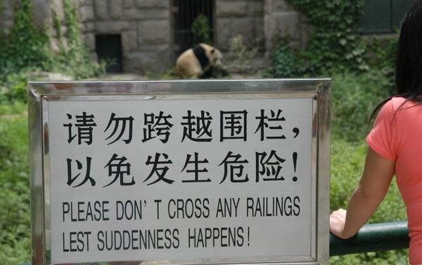 warning panda
