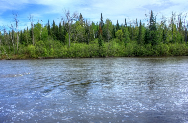 water and trees at pigeon river provincial park ontario canada